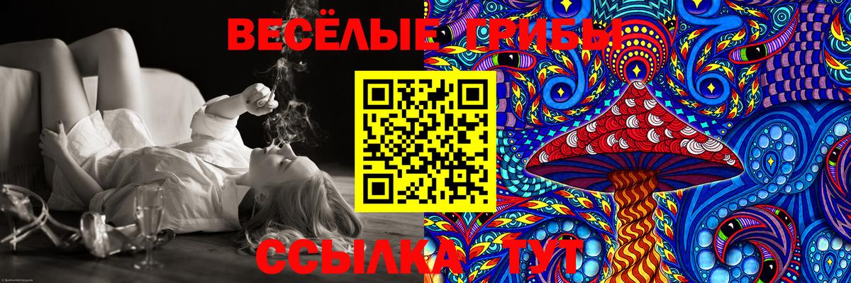 Галлюциногенные грибы Psilocybine cubensis Балашиха