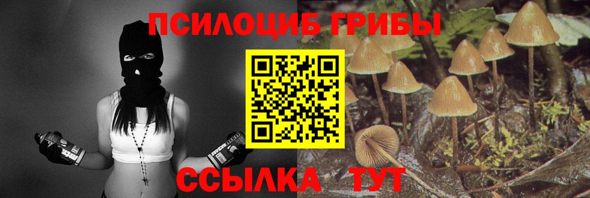 Балашиха  Галлюциногенные грибы Magic Shrooms  как найти наркотики  Галлюциногенные грибы Cubensis  Вход с VPN 